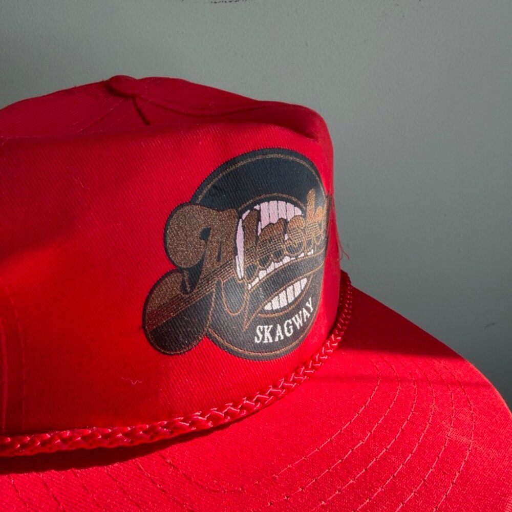 3/$30 🌟 VTG Skagway Alaska Flatbrim Hat - Picture 8 of 10